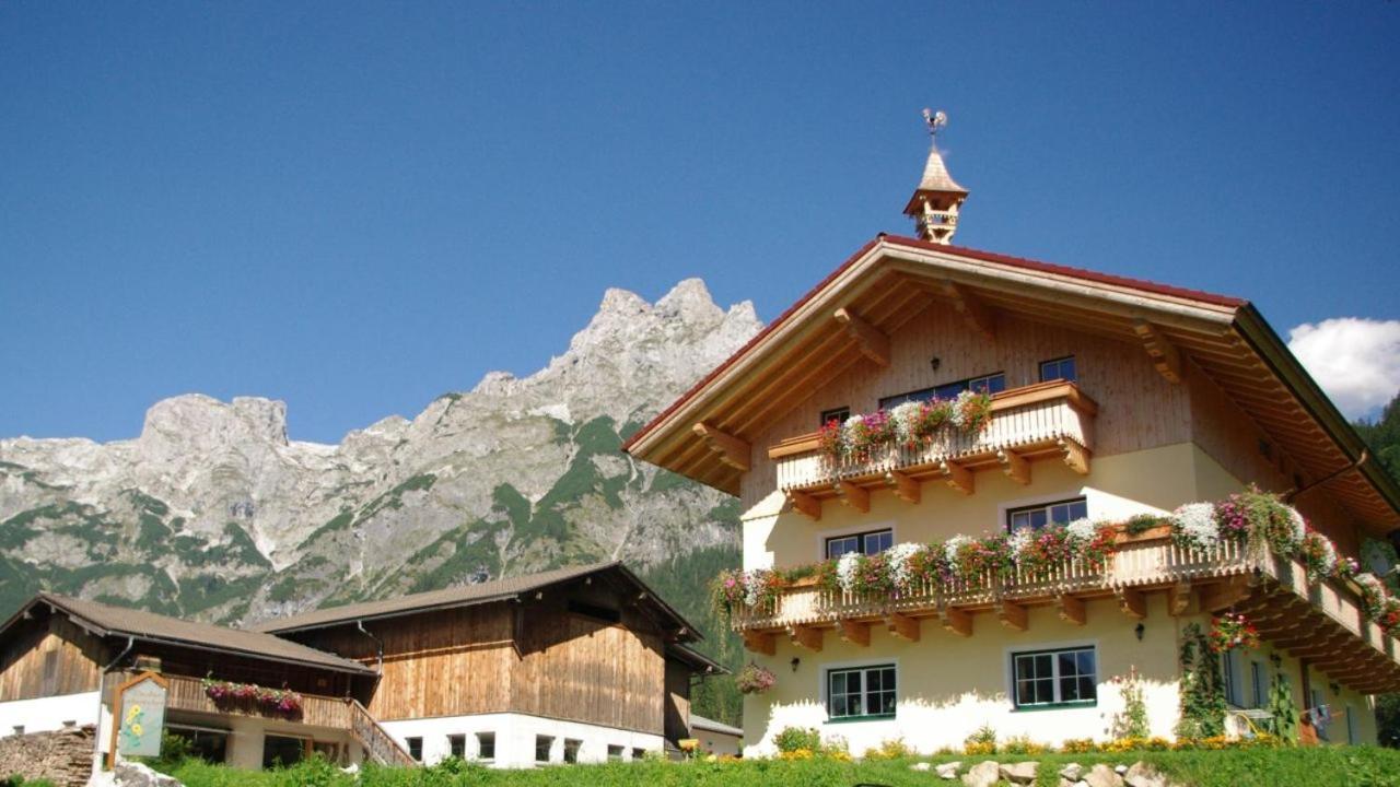 Hotel Bio Bauernhof Vorderoberlehen à Werfenweng Extérieur photo