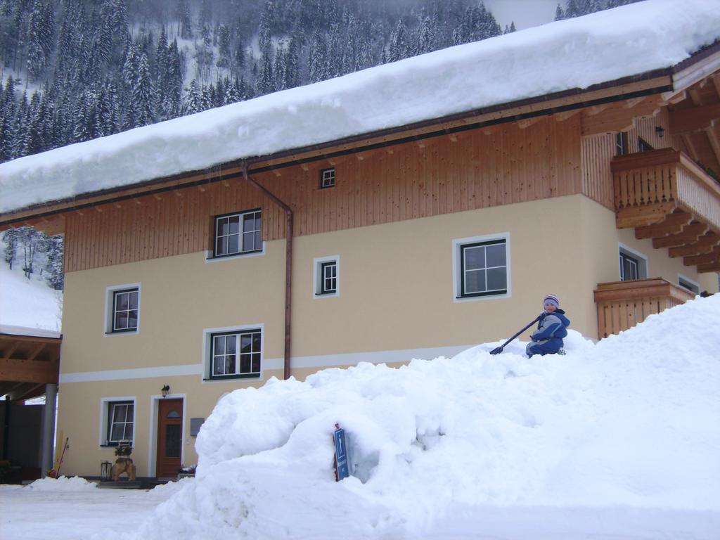 Hotel Bio Bauernhof Vorderoberlehen à Werfenweng Extérieur photo